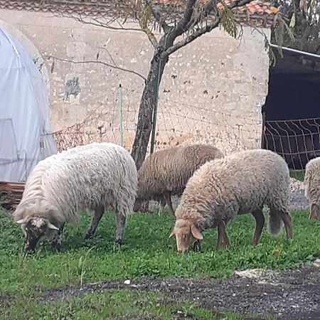 Maison de campagne à la ferme Pillac Exterior foto