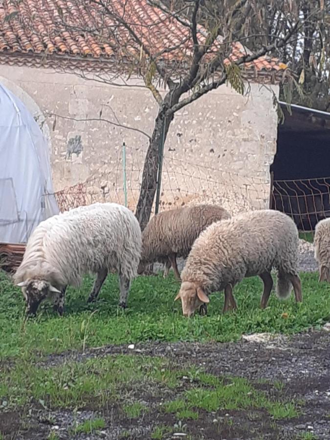 Maison de campagne à la ferme Pillac Exterior foto